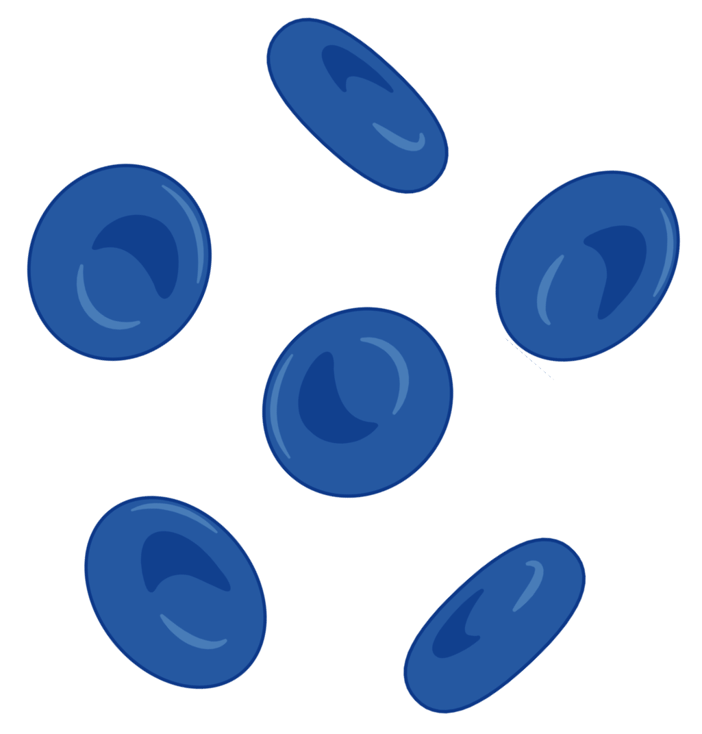 Accelerate Regenerative Healing